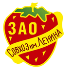 Логотип обычный.png