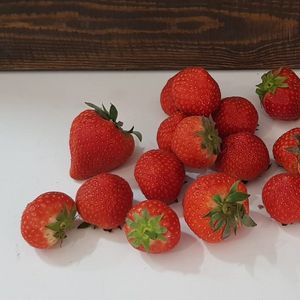 клубника 3.jpg