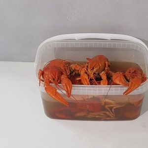 раки вареные.jpg