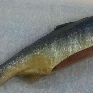 Горбуша холодного копчения на развес.jpg