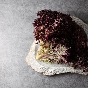 Лолло россо (12).jpg