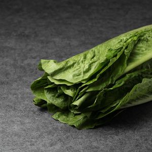 Романо (4).jpg