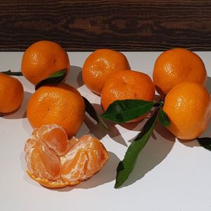 новый урожай 1.jpg