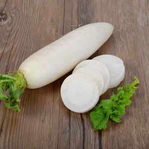 daikon1-scaled.jpg