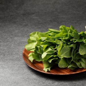 Щавель (1).jpg