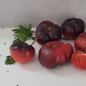 Помидоры Черная красавица.jpg