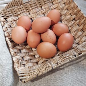 Яйцо домашнее коричневое.jpg