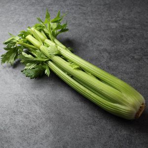 Стебель сельдерея (7).jpg