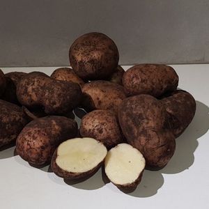 Картофель синеглазка немытый.jpg