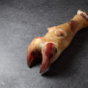 копыто говяжье.jpg