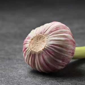 Чеснок молодой_ (5).jpg