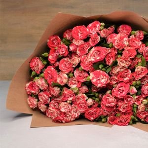 Кустовые розы Файер Фокс.jpg