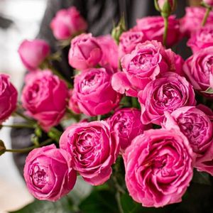 Букет №5 Розы пионовидные, 11 шт.jpg