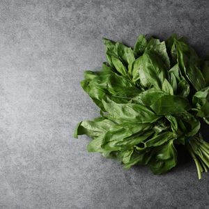 Базилик зеленый (7).jpg