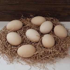 Яйцо куриное двухжелтковое 10 шт.jpg