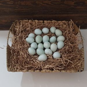 Яйца перепелиные голубые.jpg