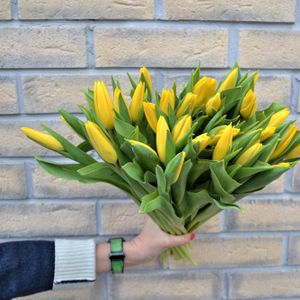 Тюльпаны желтые 25шт.jpg