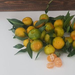 мандарины мини 1.jpg