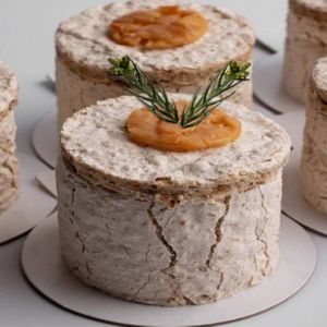 Пирожное Трухлявый Пень с веточкой.jpg