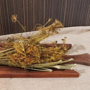 укроп соцветия сухой.jpg