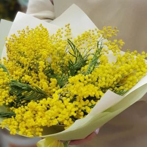 Букет 31, мимоза, отредактиров..jpg