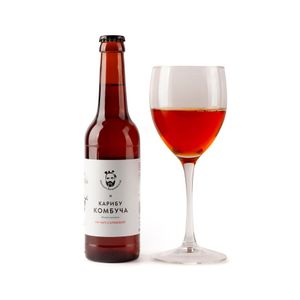 Кариба Комбуча  на чаге с клюквой.jpg