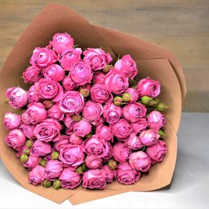 Кустовые пионовидные розы - Мисти Баблс.jpg