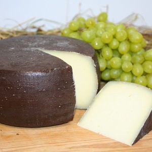 Козий Томм.jpg