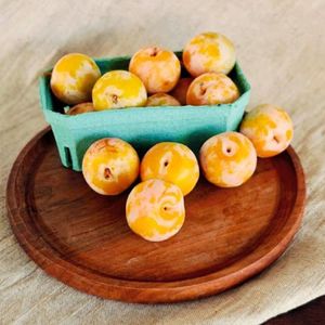 слива желтая.jpg