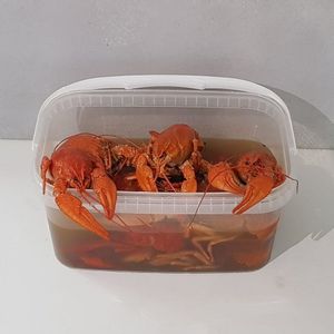 раки вареные.jpg