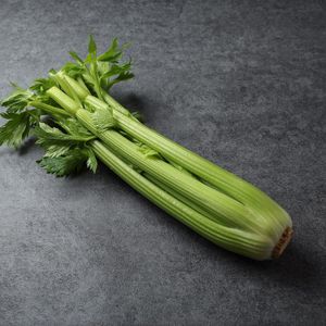 Стебель сельдерея (8).jpg