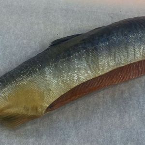 Горбуша холодного копчения на развес.jpg