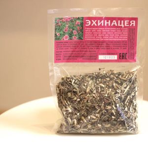Эхинацея.jpeg