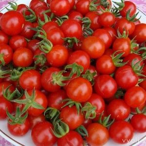 cherry.jpg