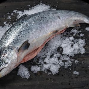 семга с головой.jpg