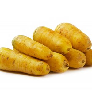 Желтая морковь.jpg