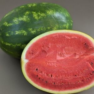 арбуз 12-15.jpg