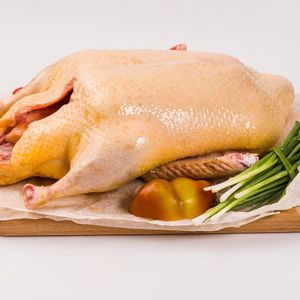 домашняя утка.jpg