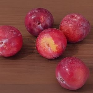 слива красная.jpg