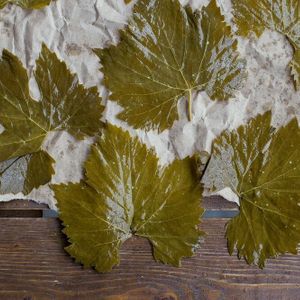 Виноградный лист.jpg