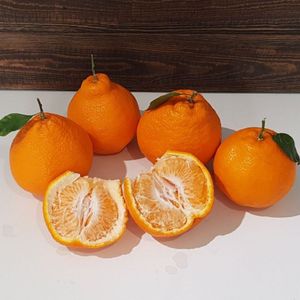 Мандарины Тангор 2.jpg