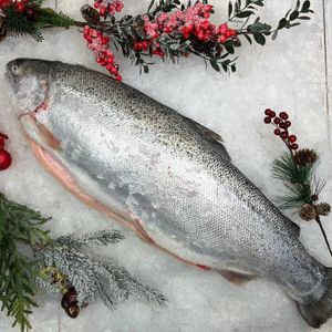 Форель морская с головой.jpeg