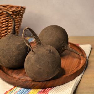 Редька чёрная .jpg