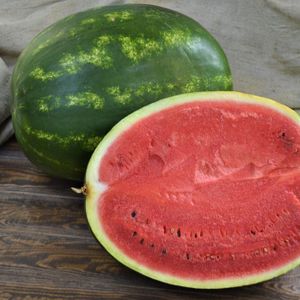 арбуз иран.jpg