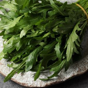 Руккола (2).jpg