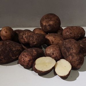 Картофель синеглазка немытый.jpg