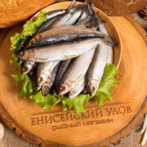 Туруханская сельдь пряного посола.jpg