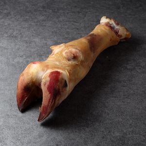 копыто говяжье.jpg