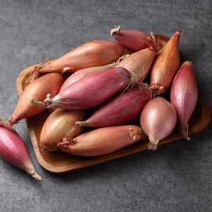 Лук-шалот_ (3).jpg