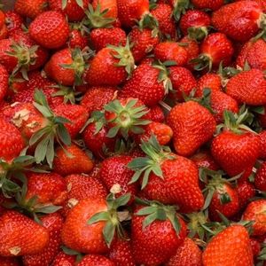 клубника краснодар.jpg